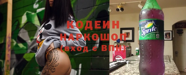 хмурый Кодинск