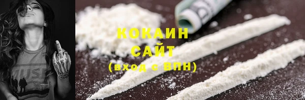 хмурый Кодинск