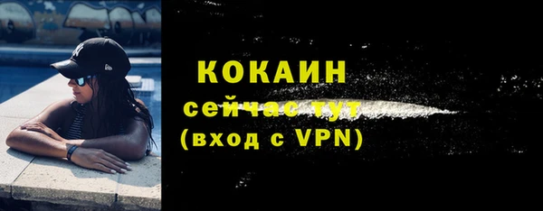 PSILOCYBIN Корсаков