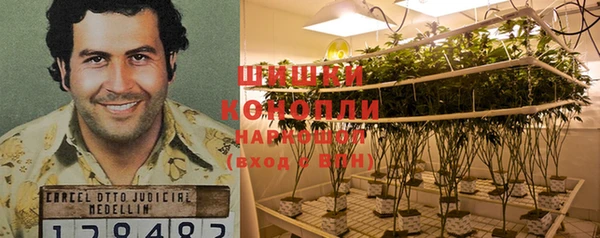 хмурый Кодинск