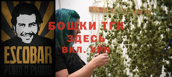 хмурый Кодинск