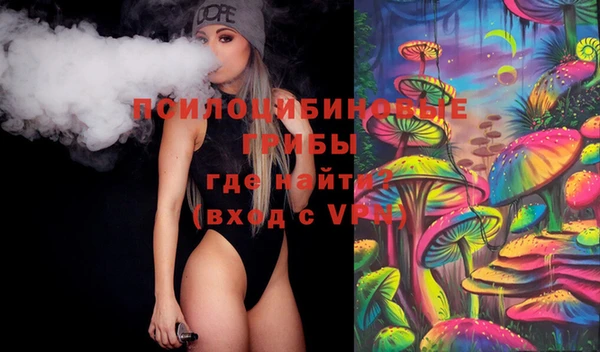 хмурый Кодинск