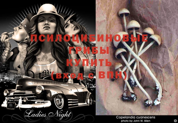 хмурый Кодинск