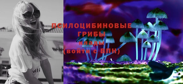 тгк Козельск