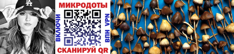 закладки  Одинцово  Галлюциногенные грибы мицелий 